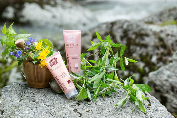 Что же лечит алтайское мумиё