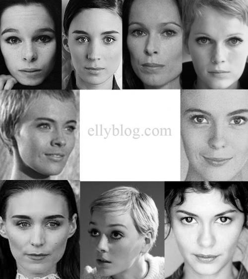 Чистый Гамин по Кибби рекомендации. Типажи по Кибби. Гамин.