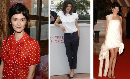 Чистый Гамин по Кибби рекомендации. Типажи по Кибби. Гамин.