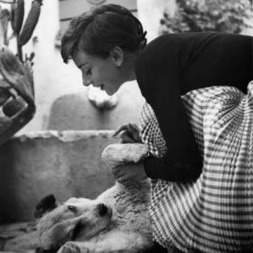 Чистый Гамин примеры. Кому подходит стиль Гамин?