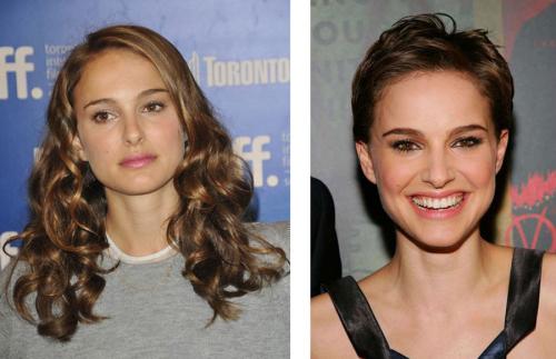 Чистый Гамин по Кибби рекомендации. Типажи по Кибби. Гамин.