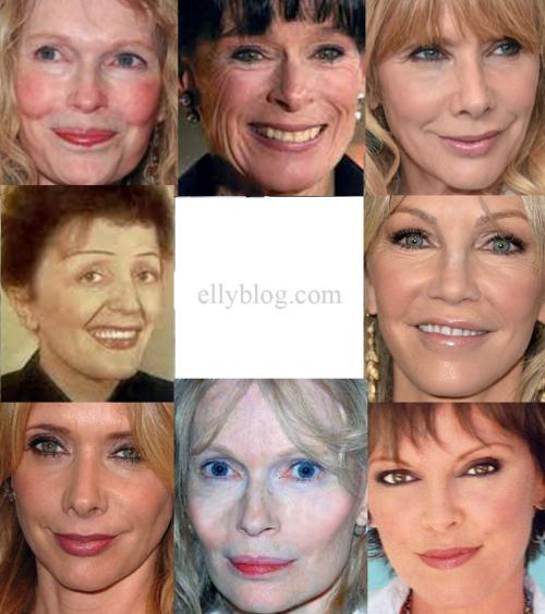 Чистый Гамин по Кибби рекомендации. Типажи по Кибби. Гамин.