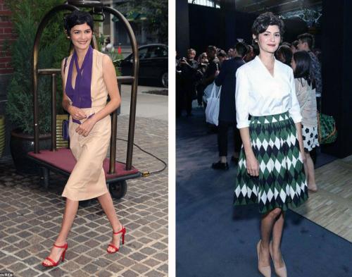 Чистый Гамин по Кибби рекомендации. Типажи по Кибби. Гамин.