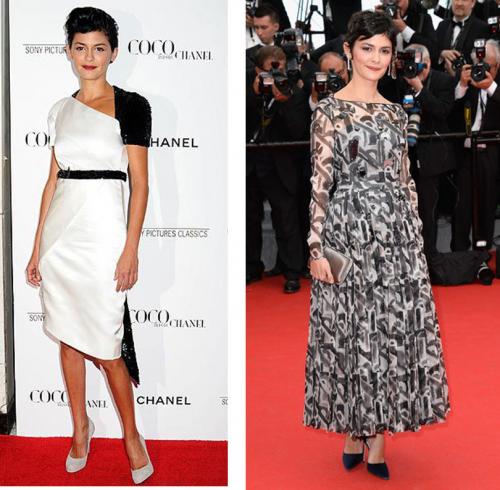 Чистый Гамин по Кибби рекомендации. Типажи по Кибби. Гамин.