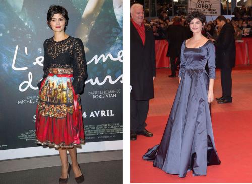 Чистый Гамин по Кибби рекомендации. Типажи по Кибби. Гамин.