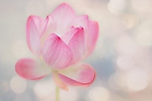 Куда внимание туда и энергия кто автор высказывания. Незаметные энергетические «лангольеры» или куда уходят ваши жизненные силы.