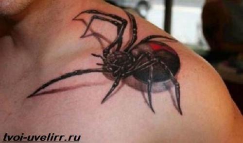 Тату роз на ключице. Цвета и значение татуировки роза 25