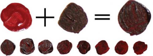 Сочетание бордового цвета с другими цветами. Бордовый цвет в интерьере и его сочетание с другими цветами