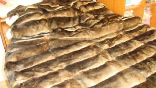 Как отличить шиншиллу от орилага. Мех орилага, достойная замена шиншиллы