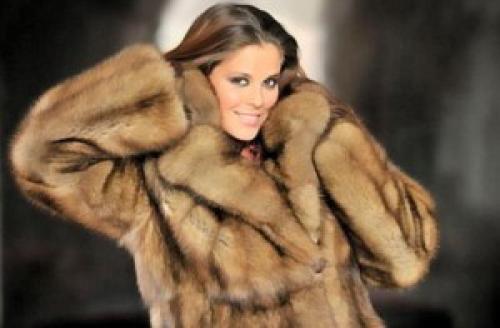 Как отличить шиншиллу от орилага. Мех орилага, достойная замена шиншиллы