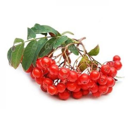 Как поднять давление в домашних условиях пожилому человеку. Как быстро повысить давление в домашних условиях 05 Как поднять давление в домашних условиях пожилому человеку. Как быстро повысить давление в домашних условиях 05