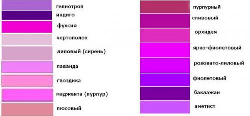 Лавандовая сумка с чем носить. С чем носить фиолетовую сумку: самые лучшие примеры