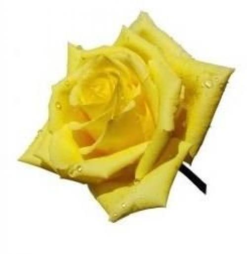 Синий цвет в одежде, что означает. Характер 15