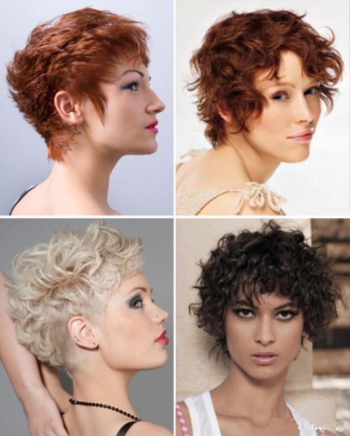 Короткая стрижка на тонкие кудрявые волосы. Особенности стрижек для вьющихся волос 14 Короткая стрижка на тонкие кудрявые волосы. Особенности стрижек для вьющихся волос 14