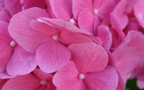 Бирюзовый цвет кому подходит. Оттенки 08