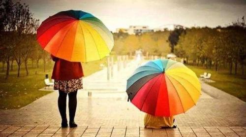 Качественный зонт от дождя. Как выбрать хороший (качественный) зонт