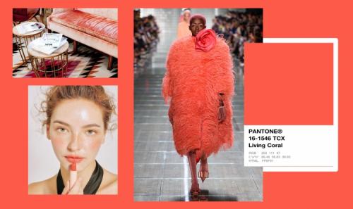Цвет живой коралл в одежде. Все о главном цвете – 2019: история кораллового цвета