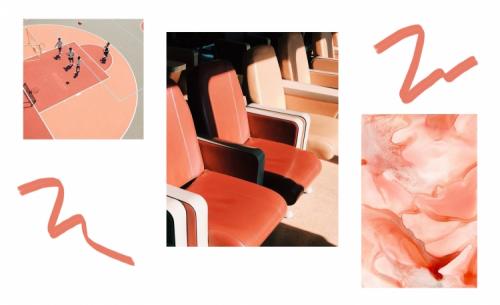 Цвет живой коралл в одежде. Все о главном цвете – 2019: история кораллового цвета