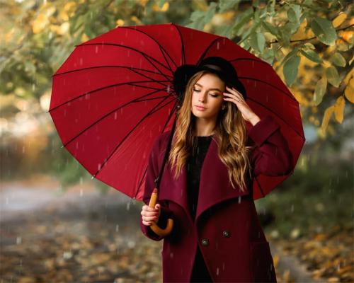 Стильные зонты 2019. Женские зонты 2019- 2019: стильные решения