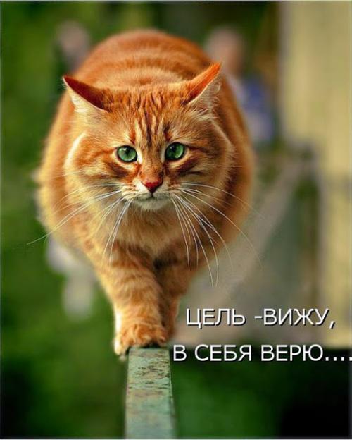 Модельеры самоучки. Модельеры без образования