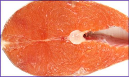 Кому идет коралловый цвет одежды. Как сочетать коралловый цвет в одежде? 10 Кому идет коралловый цвет одежды. Как сочетать коралловый цвет в одежде? 10