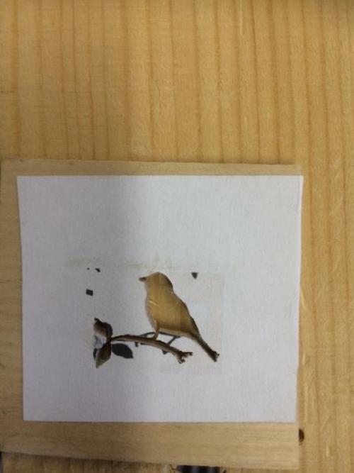 Как вырезать кулон из дерева. Как сделать красивый деревянный кулон на цепочке: внутреннее выпиливание