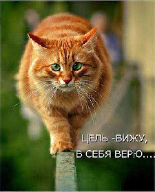 Модельеры самоучки. Модельеры без образования