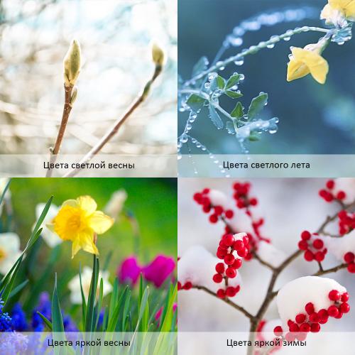 Теплая весна цветотип. Палитра цветотипа теплая весна