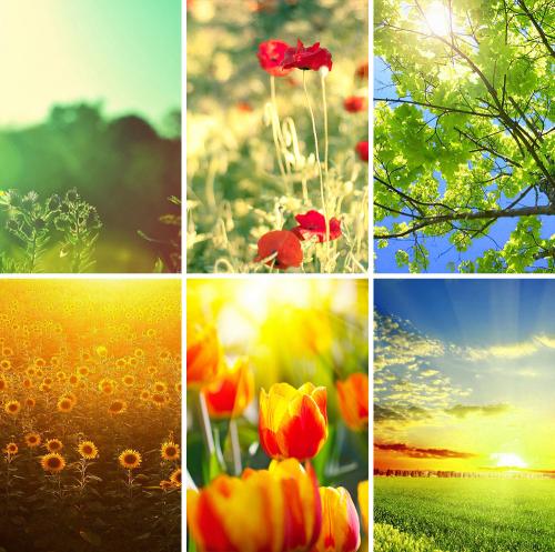 Теплая весна цветотип. Палитра цветотипа теплая весна