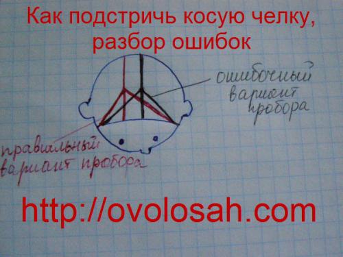 Как выстричь удлиненную челку самостоятельно. Важные этапы стрижки