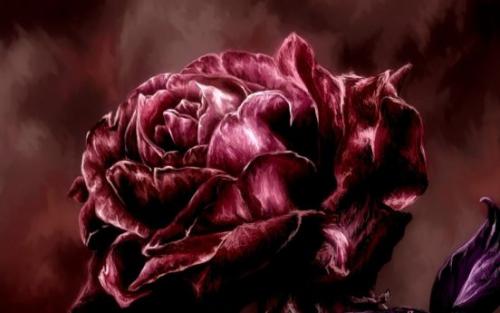 Цвет бордовый, что значит. Как сочетать бордовый цвет в одежде? 11 Цвет бордовый, что значит. Как сочетать бордовый цвет в одежде? 11