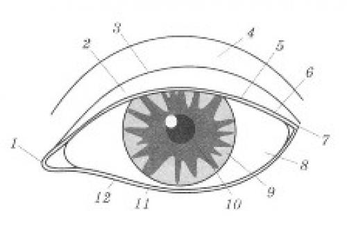 Уроки макияжа с нуля. Пошаговые уроки макияжа для начинающих
