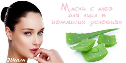 Маски из алоэ для лица от морщин. Домашние маски с алоэ для борьбы с морщинами 01 Маски из алоэ для лица от морщин. Домашние маски с алоэ для борьбы с морщинами 01