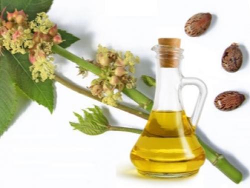 Репейное масло или касторовое для ресниц. Рост ресниц. Масло для ресниц. Укрепление и уход за ресницами. Касторовое и репейное масло для ресниц. 03