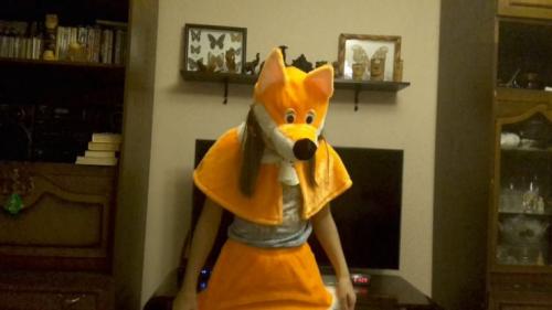 Как сделать своими руками костюм лисы. Костюм лисы своими руками — идеи и варианта, как сделать ребенку костюм в домашних условиях (фото и видео)