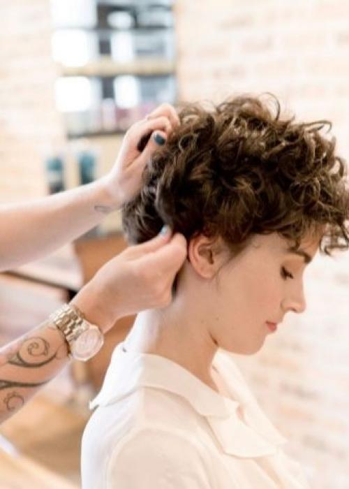 Стрижки на короткие волосы тонкие вьющиеся волосы. Особенности вьющихся прядей 03 Стрижки на короткие волосы тонкие вьющиеся волосы. Особенности вьющихся прядей 03