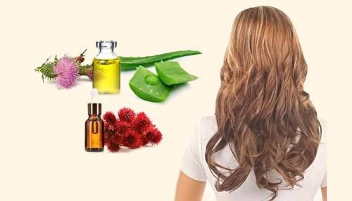 Что сделать, чтобы волосы были густыми. Густые волосы – за месяц 11