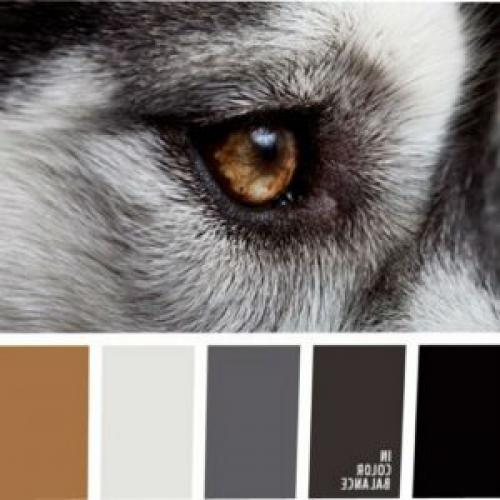 Как подобрать свой стиль в одежде девушке. Как найти свой стиль в одежде девушке за 5 шагов