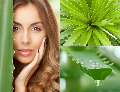 Маска из алоэ для лица. Как действует алоэ в маске на кожу