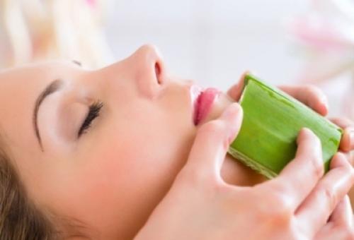 Маски для лица с алоем в домашних условиях от морщин. Польза от применения масок с алоэ 10