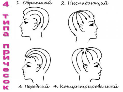 Мастер по прическам обучение. Особенности выполнения и типы
