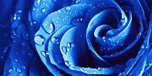 Синий цвет в психологии. Истоки