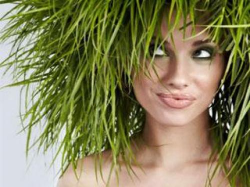 Как убрать зеленый оттенок волос после окрашивания. Почему появляется зелёный оттенок волос? 10 Как убрать зеленый оттенок волос после окрашивания. Почему появляется зелёный оттенок волос? 10