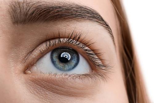 Как правильно отрастить свои брови и ресницы 01 Как правильно отрастить свои брови и ресницы 01