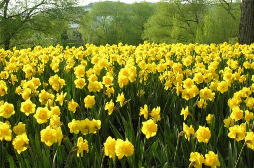 Восприятие цвета глазом. Интересные факты о цветном зрении