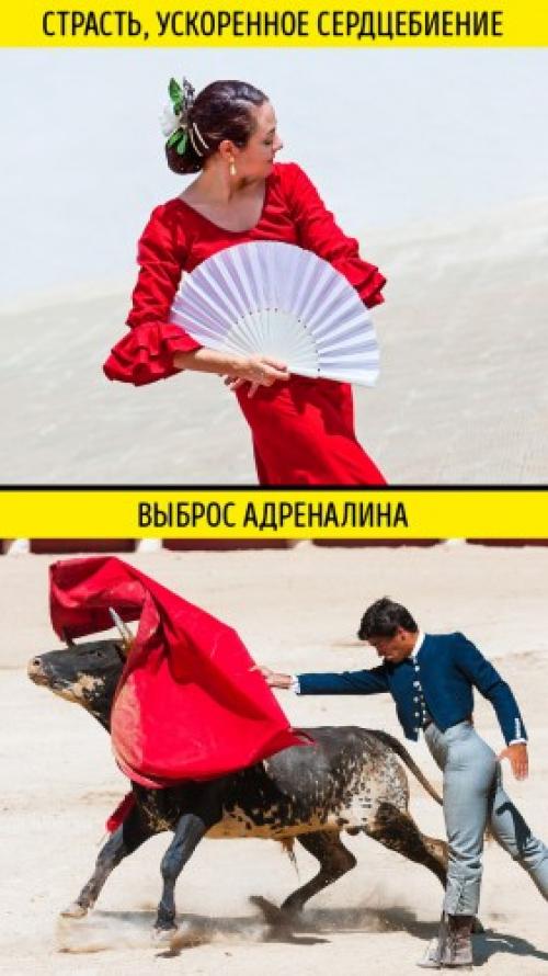 Восприятие и эмоциональное значение цвета. Понятие психологии цвета 03