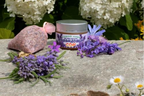 Почему стоит делать натуральный крем своими руками. Натуральные кремы ручной работы - лучший уход за кожей