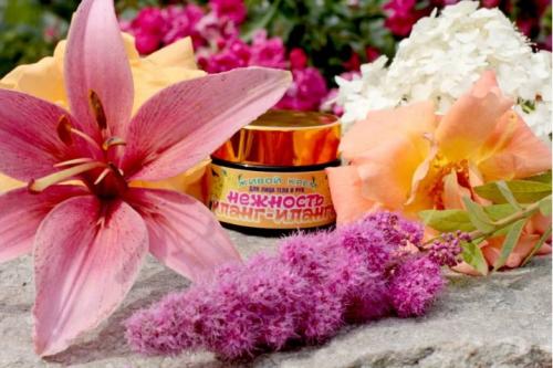 Почему стоит делать натуральный крем своими руками. Натуральные кремы ручной работы - лучший уход за кожей