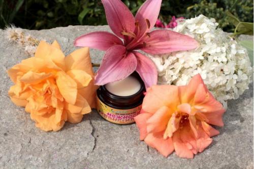 Почему стоит делать натуральный крем своими руками. Натуральные кремы ручной работы - лучший уход за кожей