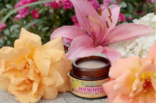 Почему стоит делать натуральный крем своими руками. Натуральные кремы ручной работы - лучший уход за кожей